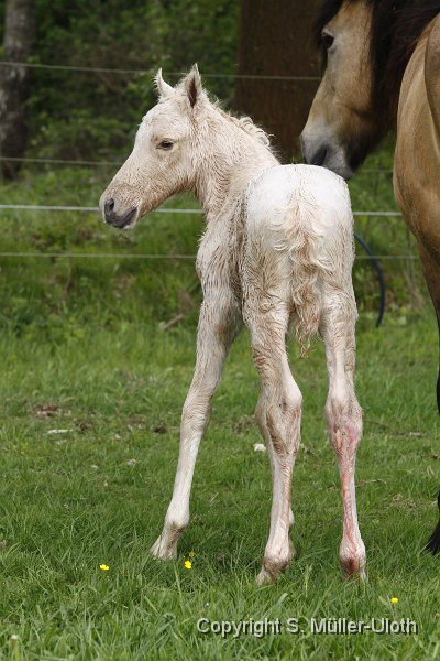 Hjoerdis 47 Min alt.JPG